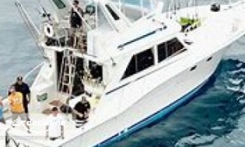 TestMkForeverFun boat rental operation on Chicago, IL 2